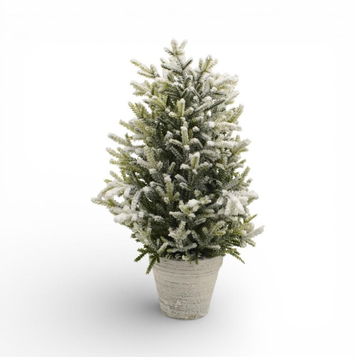 ABETE IN VASO H40 D20